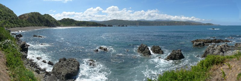D (232) Wellington Harbour.jpg